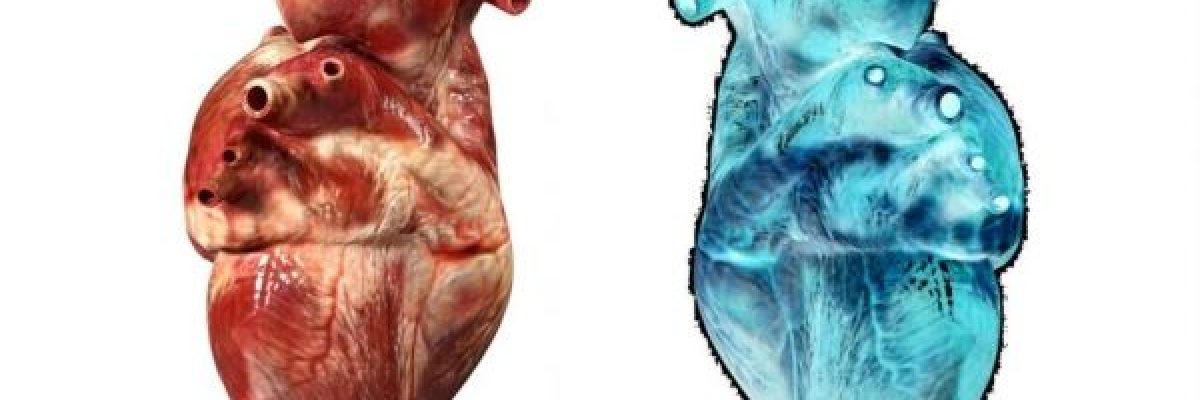 10-علامات-تدل-على-اقتراب-_النوبة-القلبية_.-ماهي؟