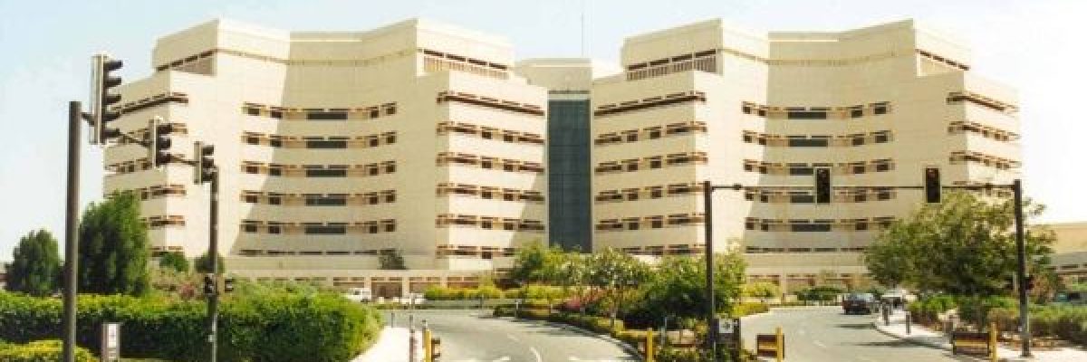 14-جامعة-عربية-ضمن-قائمة-افضل-500-جامعة-على-مستوى-العالم