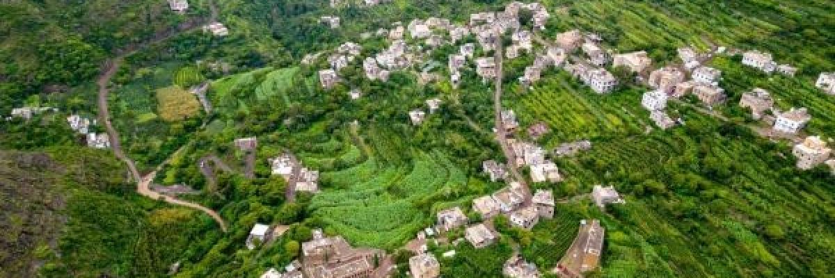 اب_-اليمنية-حيث-الامواج-الخضراء-المتحركة