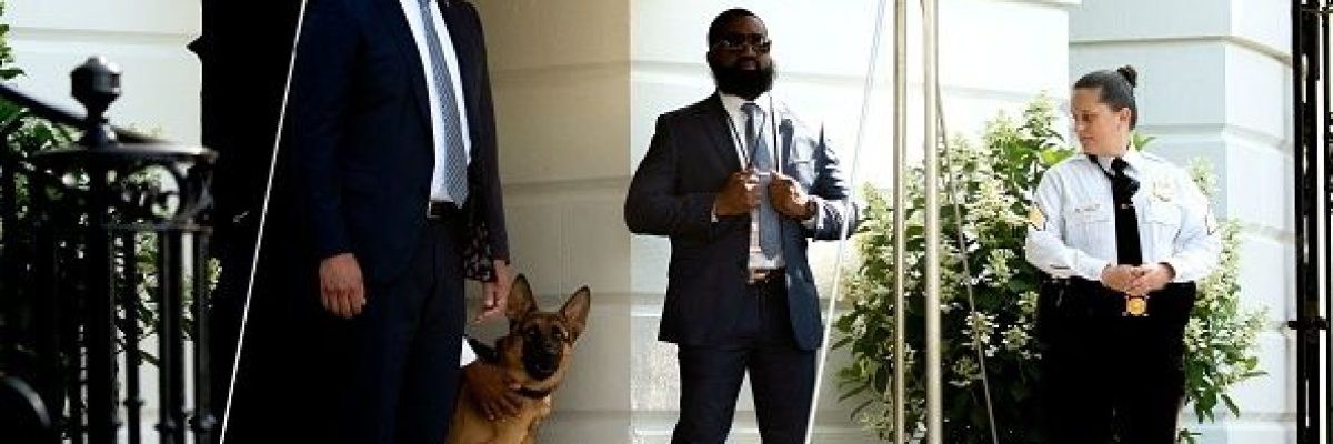 اثار-الرعب.-استبعاد-كلب-الرئيس-الاميركي-من-البيت-الابيض