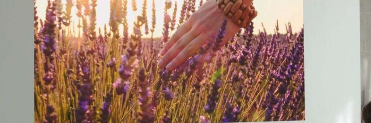 ال-جي_.-تعلن-ثورة-بعالم-شاشات-العرض