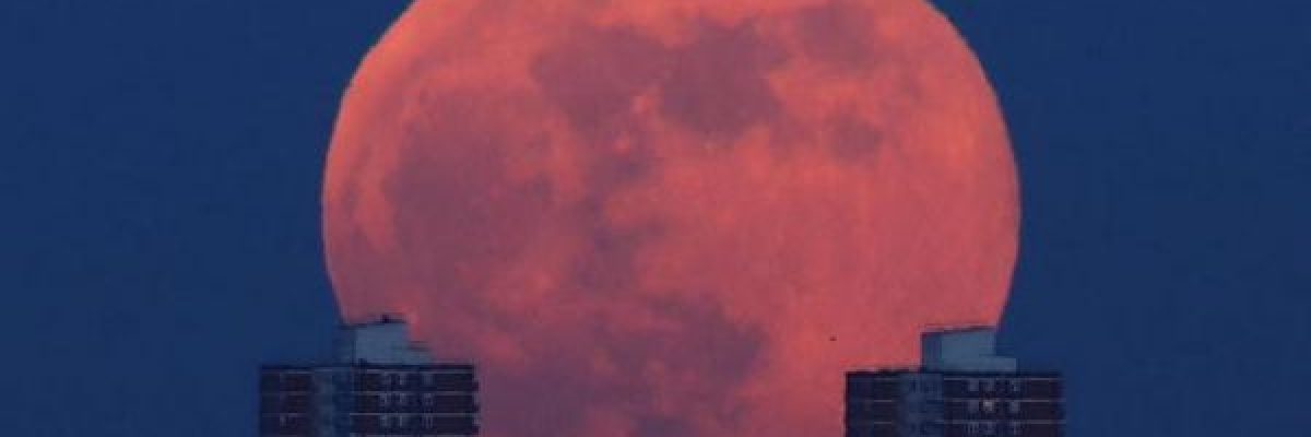 الارض-على-موعد-مع-القمر-الدموي-الجمعة