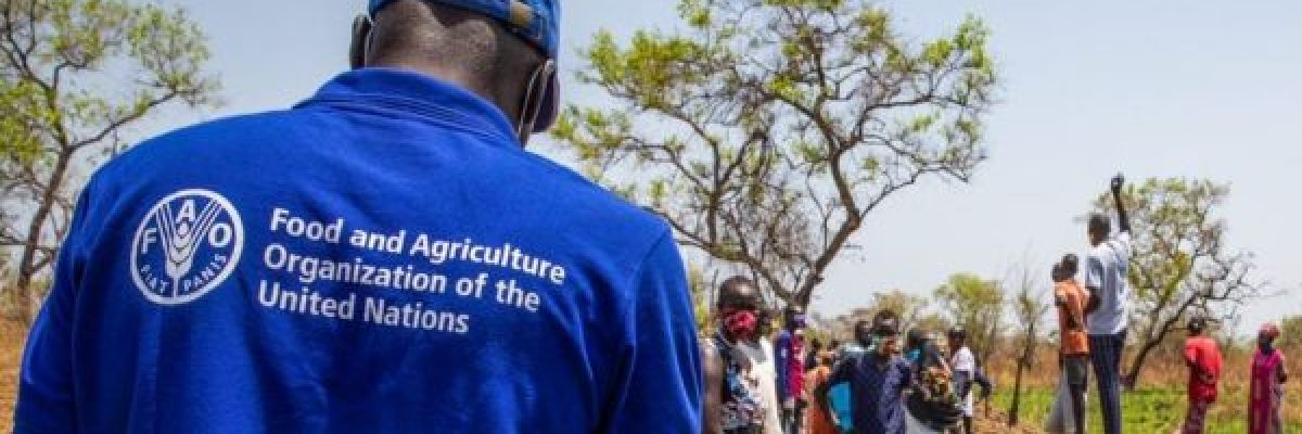 الامم-المتحدة-تحذر-من-تفاقم-المجاعة-في-عدد-من-دول-العالم