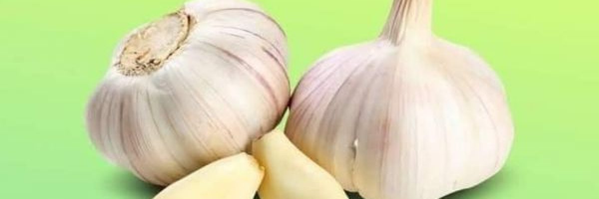 الثوم-للجمال_-علاج-فعّال-للبشرة-وتكثيف-الشعر