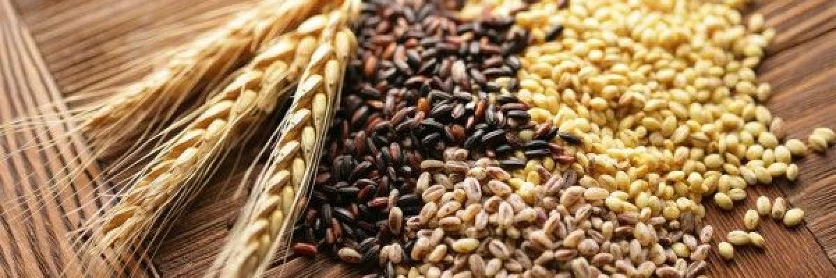 الحبوب-الكاملة-قد-تساعد-في-الوقاية-من-سرطان-الكبد