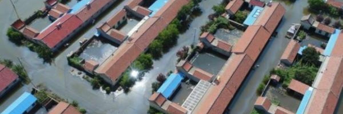 الصين-تتكبد-خسائر-تجاوزت-المليار-دولار-جراء-فيضانات-شرق-البلاد