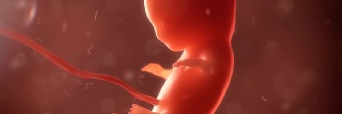 العثور-على-2200-جنين-ميت-في-منزل-طبيب-بعد-ايام-من-وفاته