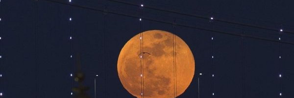 الليلة.-القمر-باللون-_الدموي_-في-اطول-ظاهرة-خسوف-بالقرن-الحالي