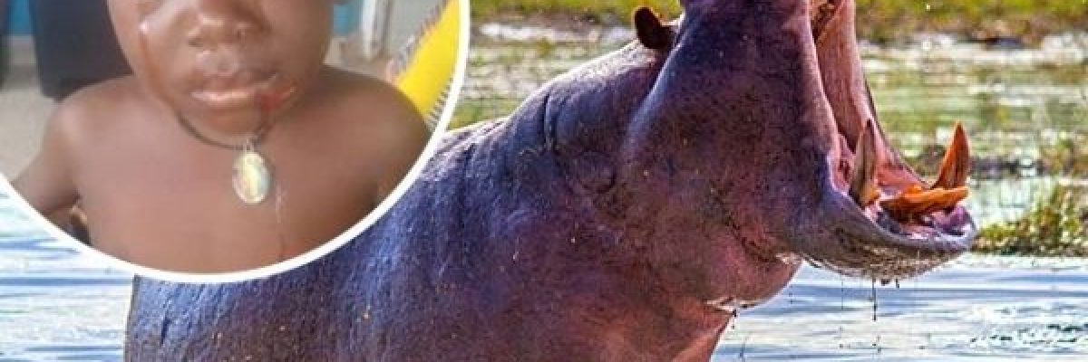 انقاذ-طفل-باعجوبة-بعد-ان-هاجمه-_فرس-النهر_-وابتلع-نصف-جسده