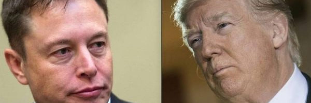 ايلون-ماسك-يلغي-الحظر-المفروض-على-ترامب-في-_تويتر_