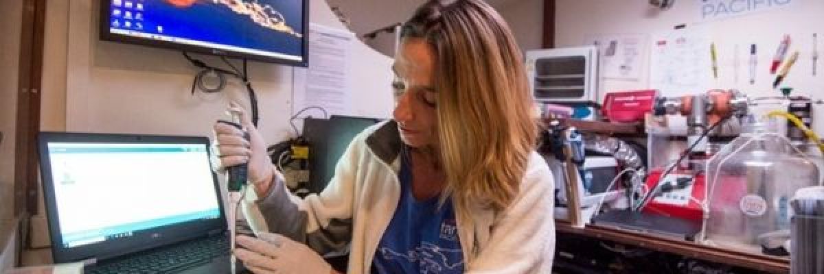 بحث-علمي-جديد-يكشف-امكانية-حساب-العُمر-من-خلال-فحص-_الحمض-النووي_