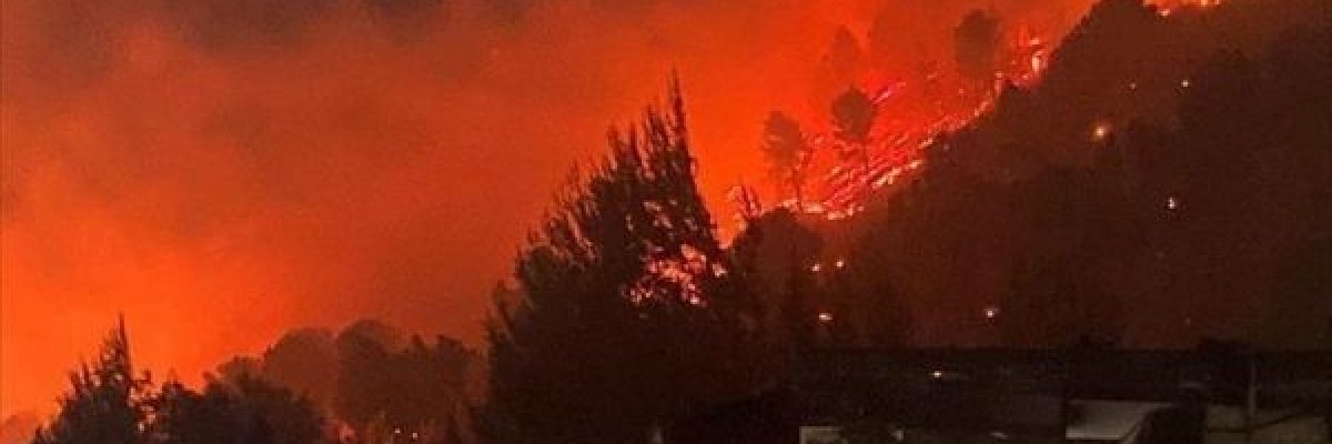 بسبب-ارتفاع-الحرارة.-حريق-يلتهم-3-هكتارات-من-الاشجار-شرقي-ليبيا