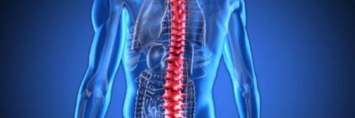 تجربة-سويسرية-لاعادة-قدرة-المشي-لمصابي-النخاع-الشوكي تجربة-سويسرية-لاعادة-قدرة-المشي-لمصابي-النخاع-الشوكي