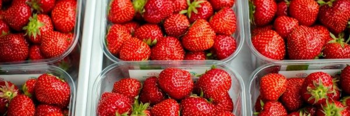 تحسين-صحة-القلب-وعمل-الدماغ.-تعرف-على-فوائد-الفراولة