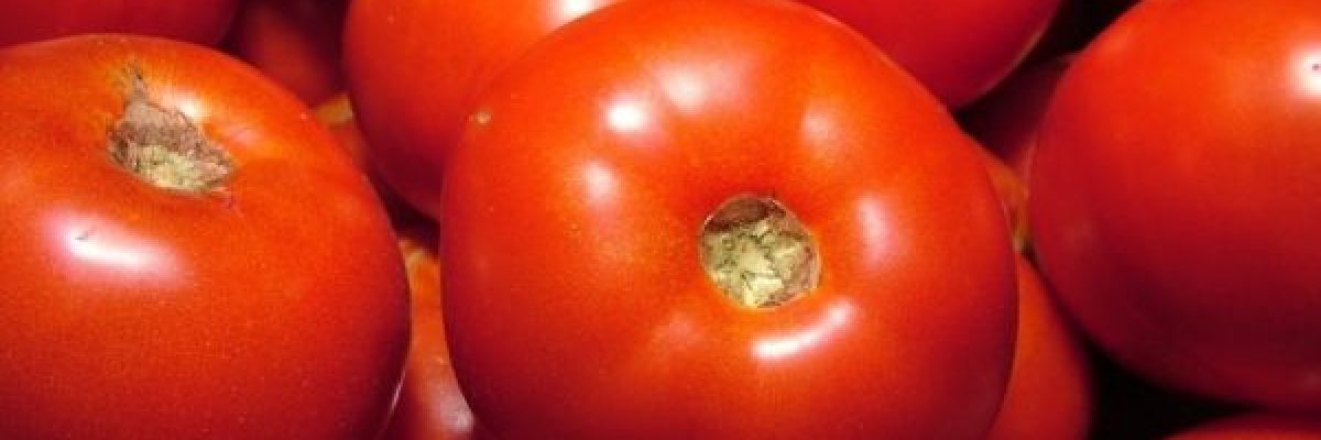 تحمي-الكبد-وتكافح-السرطان.-تعرف-الفوائد-المذهلة-للطماطم