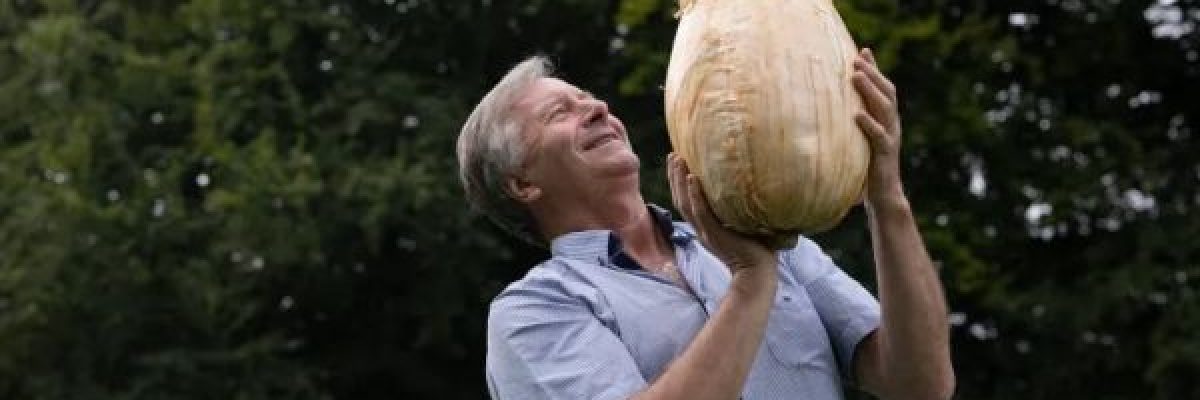 تزن-6-كيلو-غرام.-عرض-بصلة-عملاقة-في-معرض-بانجلترا