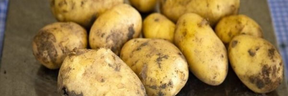 تعرف-على-الفوائد-الغذائية-للبطاطا-