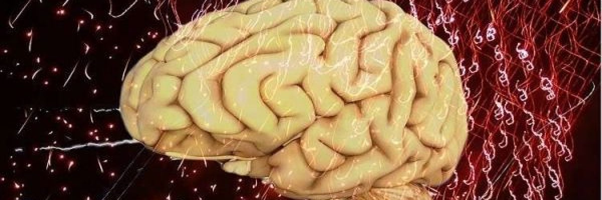 تعرف-على-خمس-ممارسات-لتحسين-عمل-الدماغ