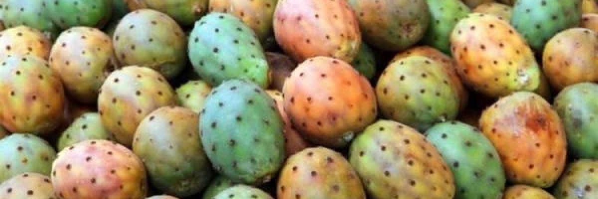 تعرف-فوائد-التين-الشوكي-المذهلة