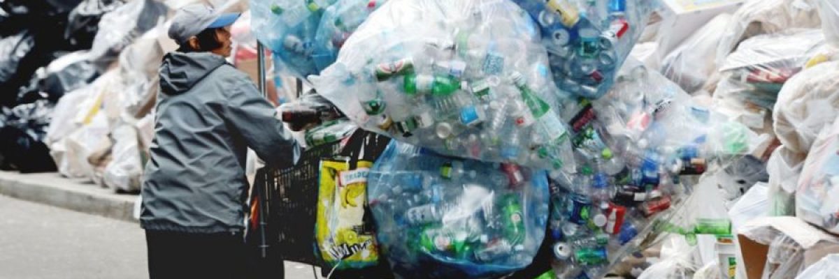 ثرية-وحاصلة-على-ماجستير-ادارة-اعمال.-لكنها-تقضي-يومها-في-جمع-النفايات