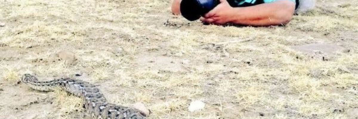 ثعبان-ينقض-على-كاميرا-مصور-وهذا-ما-حدث-فيديو