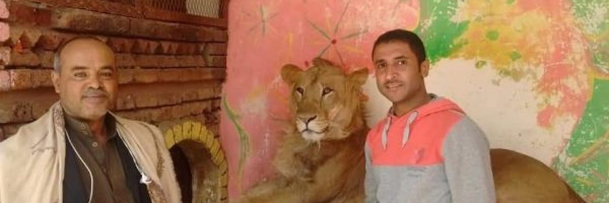 حديقة-الحيوان-بصنعاء-تصارع-من-اجل-البقاء