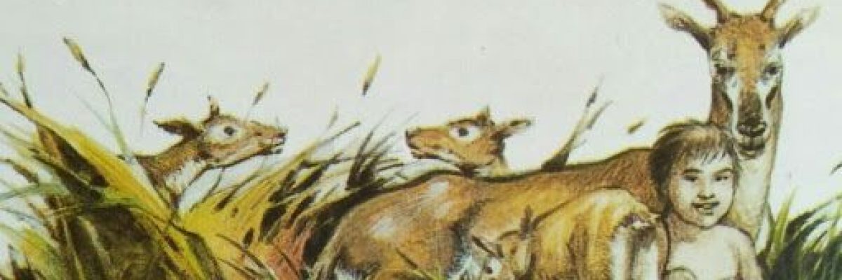 حي-بن-يقظان.-تعرف-الى-اول-رواية-عربية-الهمت-ادباء-الغرب