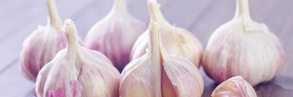 خبراء-يحذرون-من-استخدام-فصوص-الثوم-في-علاج-انسداد-الانف