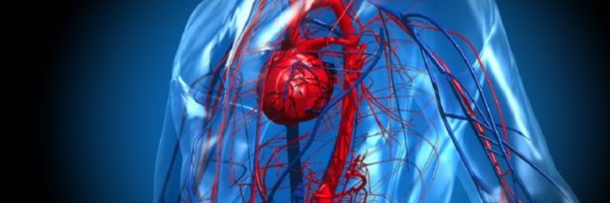 خبيرة-توصي-بتناول-فاكهة-واحدة-يوميا-للمساعدة-في-الحفاظ-على-وظائف-القلب-الطبيعية