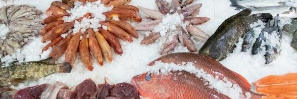 خمس-نصائح-لمعرفة-ان-كان-السمك-طازجا-ام-لا.-تعرف-عليها