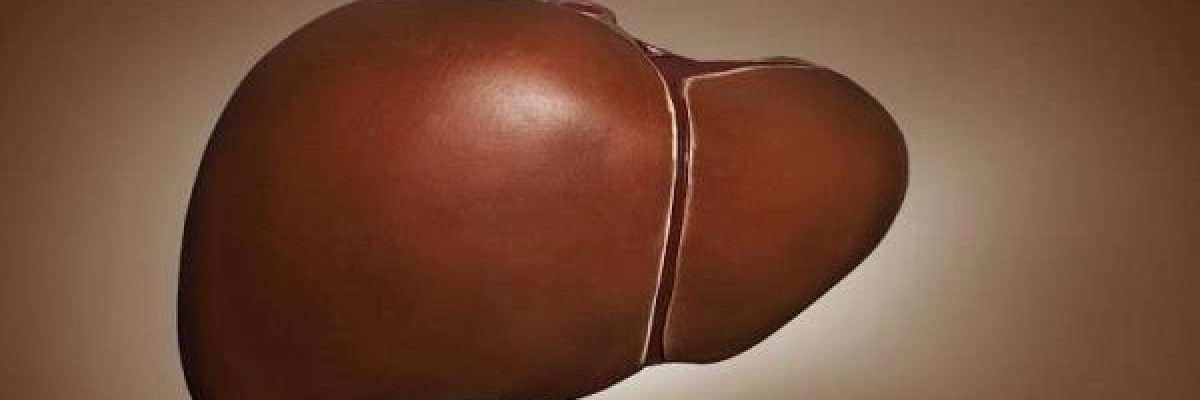 خمسة-عوامل-تؤثر-سلبا-في-صحة-الكبد