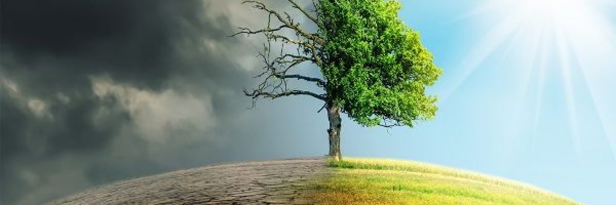 دراسة-حديثة-تتوصل-الى-ان-الارض-تواجه-خمس-نقاط-تحول-مناخية-كارثية