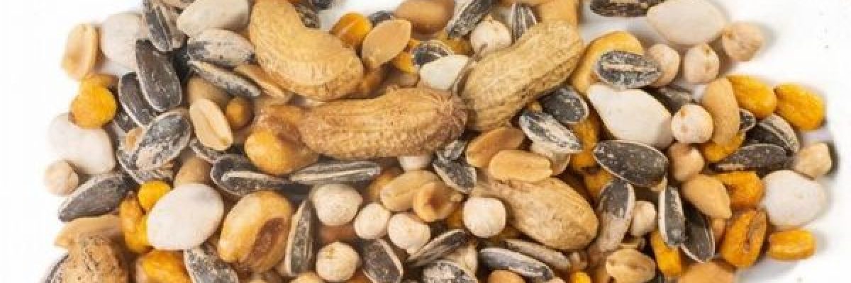 دراسة-حديثة-تكشف-عن-فوائد-جمة-للمكسرات-على-صحة-الدماغ