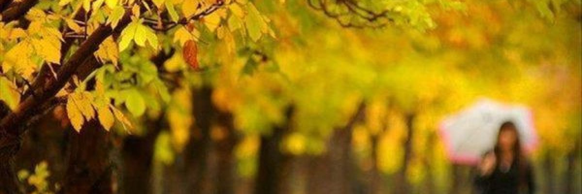 دراسة-حديثة_-رياضة-التامل-تحسن-الصحة-العقلية-والجسدية