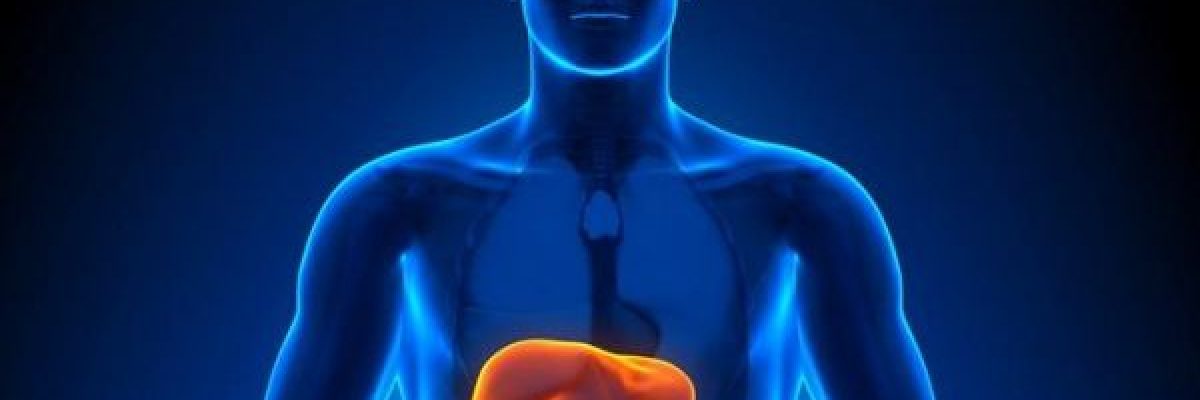 دراسة_-اتباع-نظام-غذائي-_عالي-الدهون_-يقلل-من-تطور-مرض-الكبد-الدهني