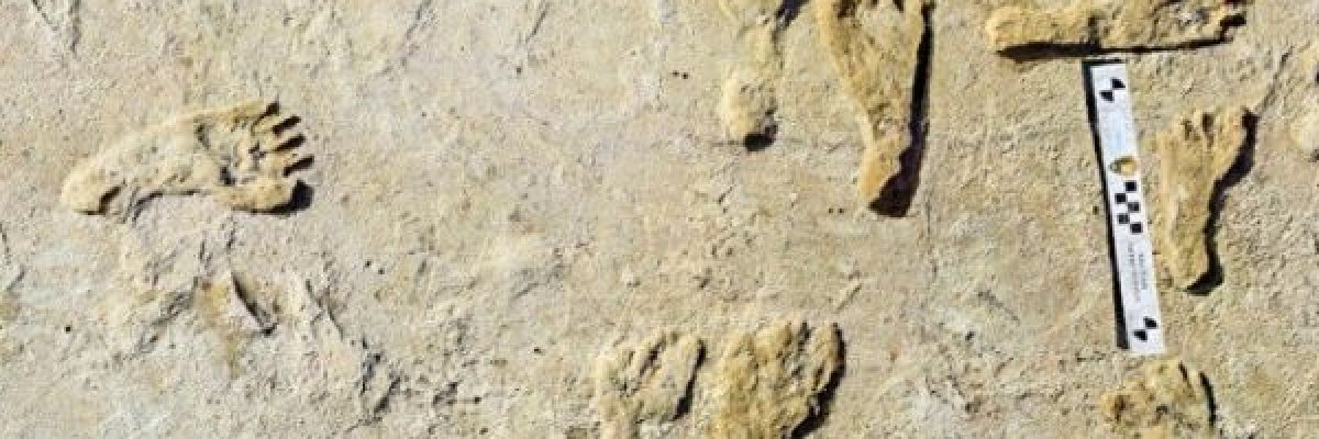 دراسة_-اثار-اقدام-بشرية-عمرها-23-الف-عام-في-امريكا-الشمالية