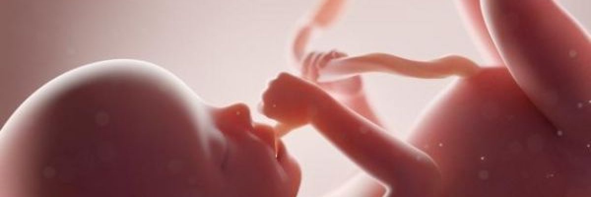 دراسة_-الاطفال-في-رحم-الامهات-يتفاعلون-مع-النكهات-المختلفة