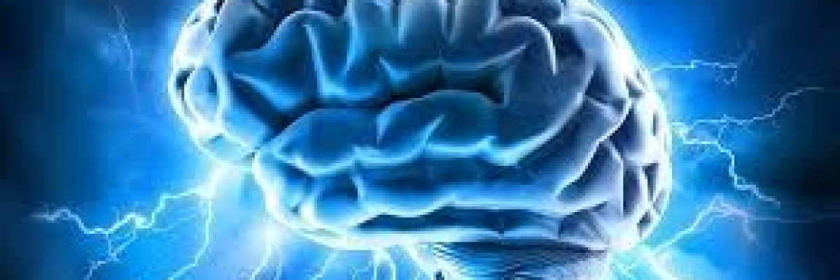 دراسة_-الاهانات-تحفز-نشاط-الدماغ-اكثر-من-المجاملات