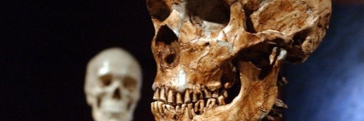 دراسة_-البشر-كانوا-على-وشك-الانقراض-لولا-نجاة-1280-من-اسلافهم