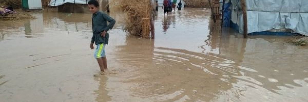 دراسة_-التغير-المناخي-يفاقم-خطر-الاوبئة