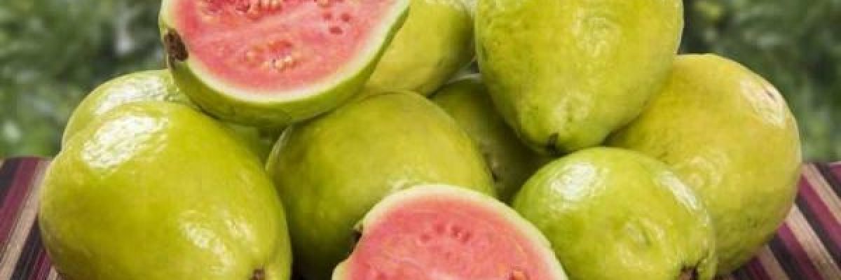 سبع-فوائد-صحية-مذهلة-للجوافة-ستدفعك-لتناولها-يوميا