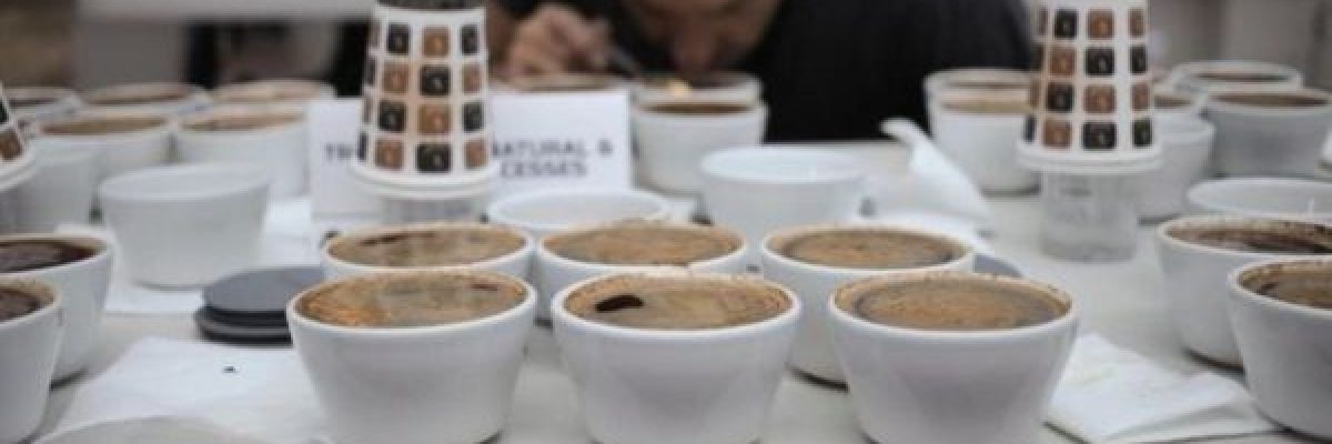 سعر-فنجان-من-القهوة-الى-75-دولار.-تعرف-على-السبب