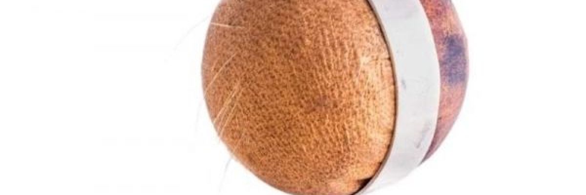 سلطنة-عمان-تحصد-احدى-جوائز-معرض-_انفلو_-في-المجر