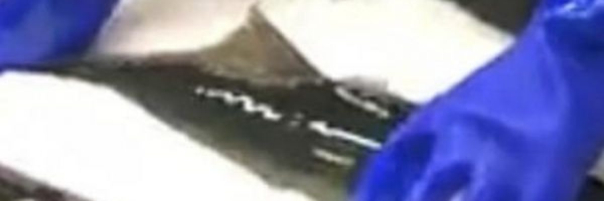 شاهد-بالفيديو.-سمكة-تعود-للحياة-بعد-تجميدها