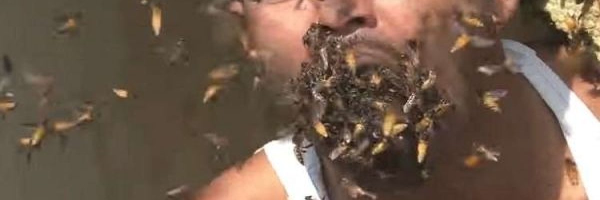 شاهد-فيديو-صادم-لرجل-_ياكل_-الاف-النحلات-حية