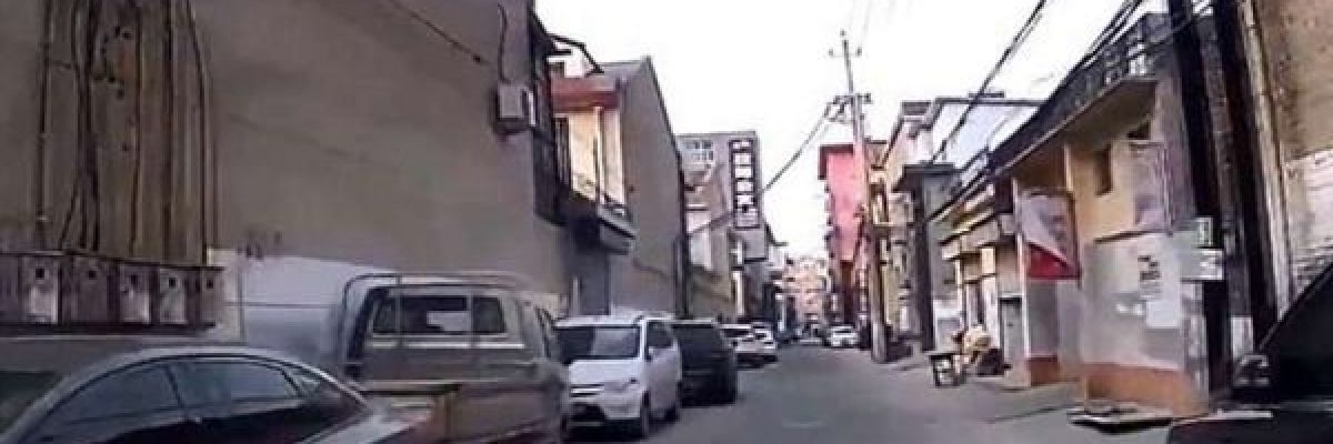 شاهد-كلب-يدل-سيارة-الاسعاف-الى-مكان-صاحبه-المريض