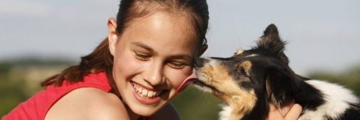 شاهد-كلب-ينتظر-صاحبته-الميتة-منذ-اشهر-على-قارعة-الطريق