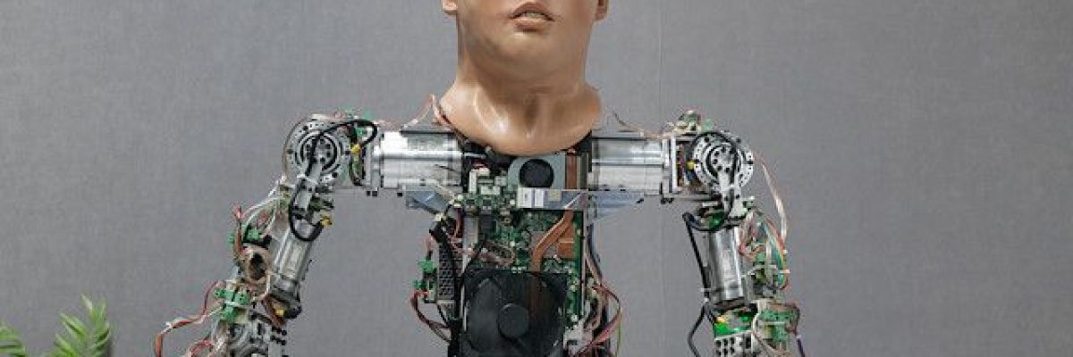 شركة-تركية-تطور-روبوتا-يمشي-ويتحدث-7-لغات