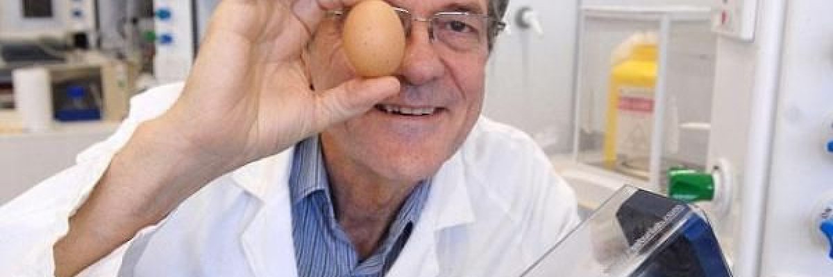 عالم-استرالي-يخترع-جهازًا-لاعادة-البيضة-نيئة-بعد-سلقها