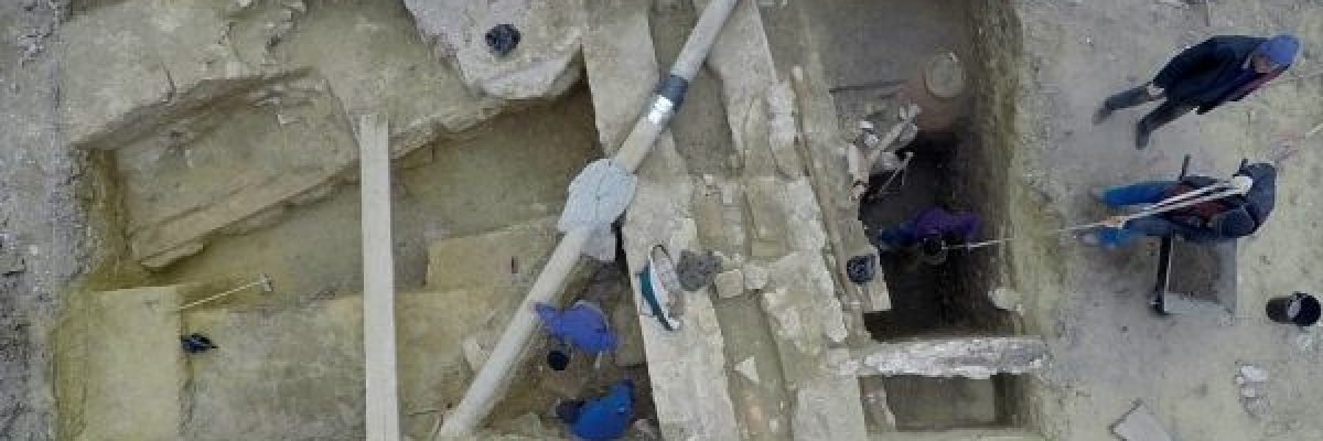 عمرها-550-مليون-عام.-علماء-يكتشفون-اقدم-وجبة-طعام-في-العالم